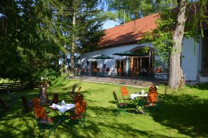 Die Eventbühne in Kimratshofen - Veranstaltungsort & Eventlocation für Feiern aller Art - Die Umgebung im Sommer